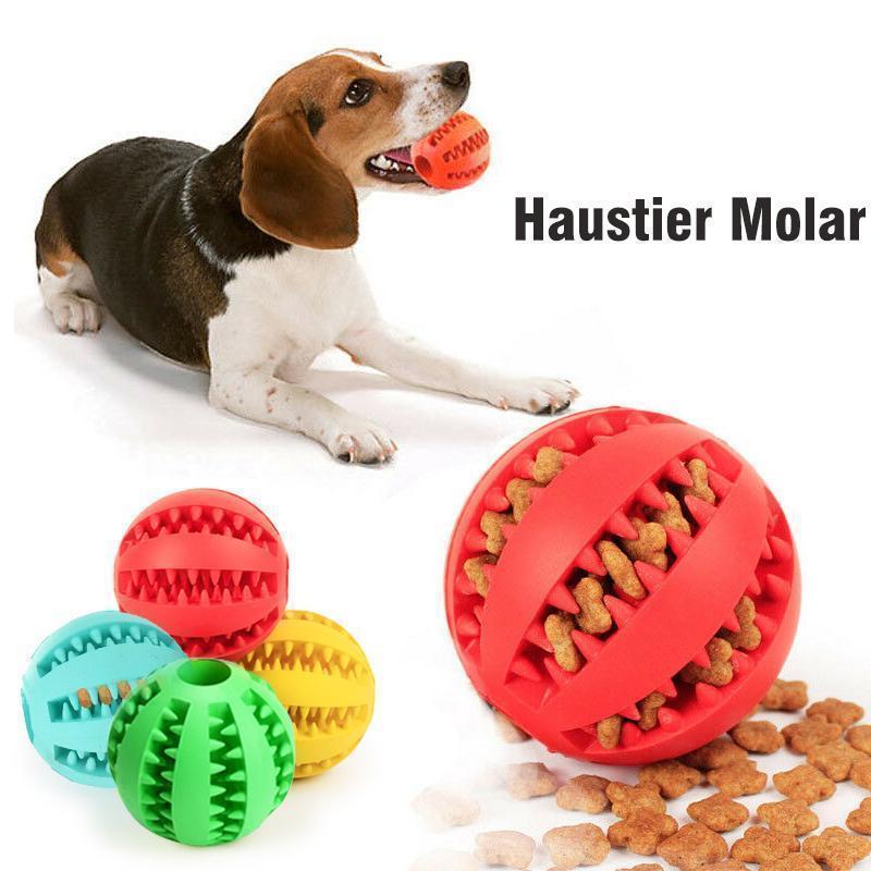 Bite per cani di palla giocattolo a sfera elastica costante