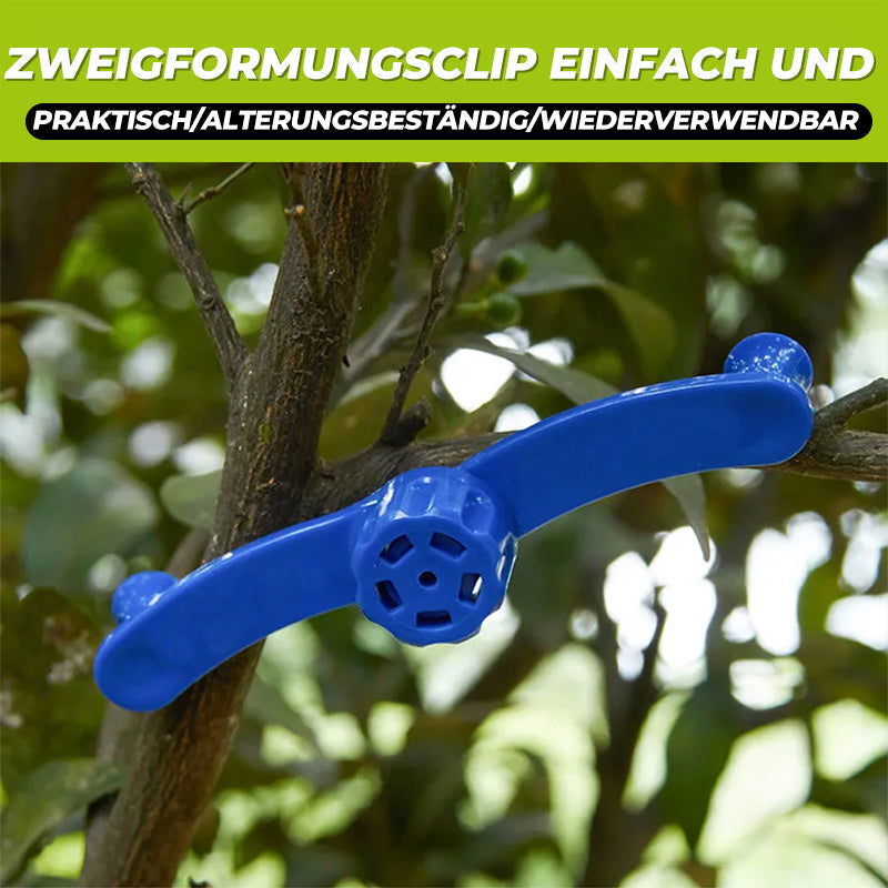 Fixateur für Zweigmodellierung