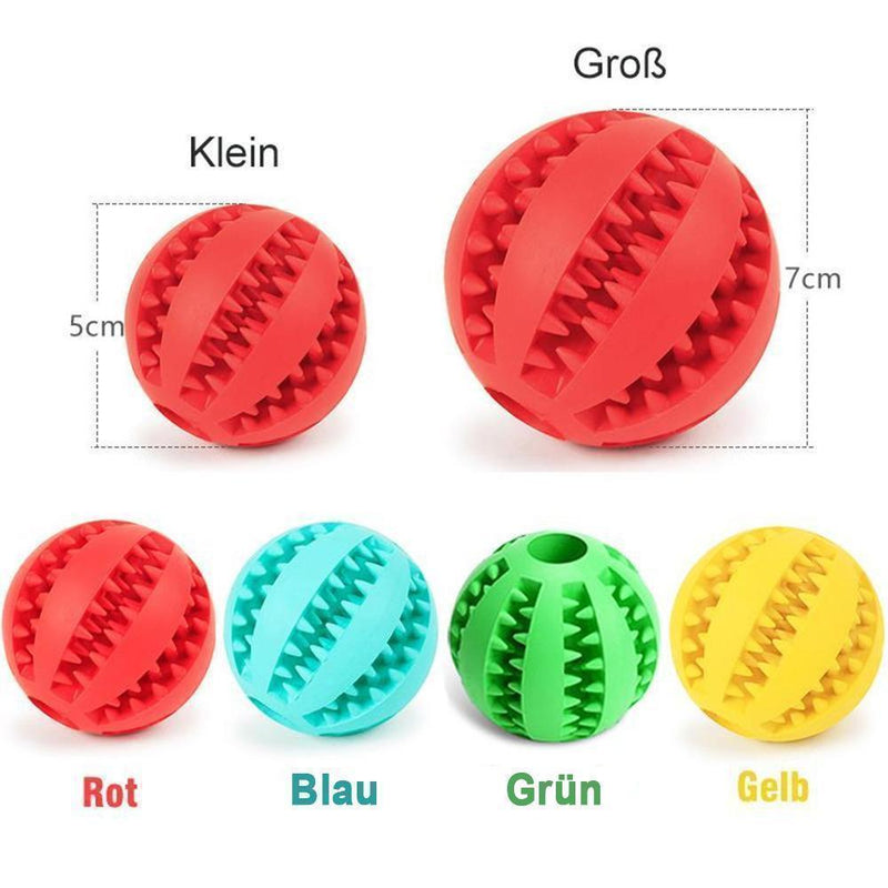 Bite per cani di palla giocattolo a sfera elastica costante